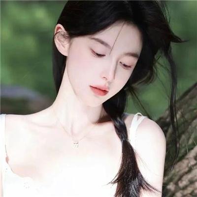 月季花开