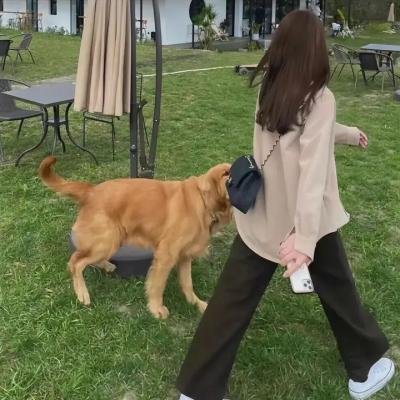 那一个转身